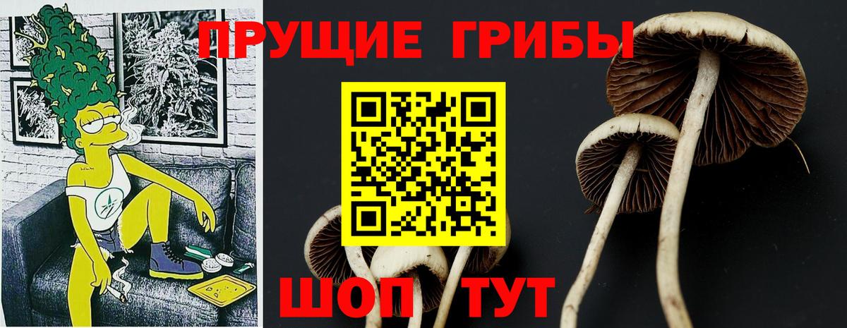 Кисловодск  Галлюциногенные грибы прущие грибы  Вход с VPN 